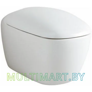 Унитаз Keramag Citterio F203550000